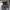 Casual Kids navy gray photo 3