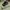 Nike Streetwear Casual Sneakers Pria gray photo 1