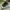 Nike Streetwear Casual Sneakers Pria Gray