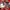 11/10 Studio Avant Garde Maxi dress Wanita gold photo 1