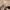 Longchamp Casual Crossbody Bag Wanita khaki black photo 3