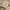 Longchamp Casual Crossbody Bag Wanita khaki black photo 7