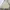 McGregor Vintage Sweater Pria cream photo 1