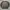 ©2010 Harley Davidson AOP long sleeve of Wythe Ville, Virgin photo 1