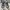 Vans Casual Sneakers Pria white navy photo 3