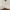 ©2010 Harley Davidson of St Louis Missouri double sided whit photo 4
