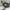 Nike Sportswear Casual Sneakers Pria black gray photo 1
