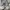 Nike Sportswear Casual Sneakers Pria black gray photo 3