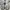 Nike Sportswear Casual Sneakers Pria black gray photo 8