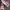 Nike Sportswear Casual Sneakers Pria red gray photo 1
