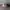 Converse Chuck Taylor all Star CX photo 4