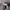 Converse Chuck Taylor all Star CX photo 8
