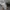Converse Chuck Taylor all Star CX photo 7
