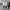 Converse Chuck Taylor all Star CX photo 6