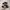 Adidas Superstar Black White photo 1