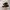 Nike Air Jordan Future XI photo 1