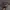 NIKE AIR MAX PLUS TN SISTERHOOD photo 4
