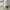 Santa Cruz Skateboards Streetwear Skater T-shirt Pria white photo 8