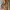 Casual Maxi dress Wanita tan photo 4
