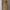 Casual Maxi Dress Wanita Tan