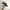 Nike roshe run black and white 42 photo 1