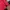 Adidas Treefoil Red on Red photo 3