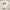 GAP Streetwear Casual Hoody Pria white photo 2