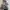 Ropehat,two tone hat,trucker hat,Stussy,Nike  photo 5