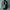 Luxury Casual Sweater Wanita green photo 1