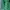 Luxury Casual Sweater Wanita green photo 3