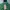 Luxury Casual Sweater Wanita green photo 4