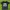 Supreme Streetwear T-shirt Pria black photo 2