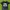 Supreme Streetwear T-shirt Pria Black