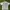 Stussy Streetwear T-shirt Pria white photo 6