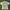 Stussy Streetwear T-shirt Pria white photo 1