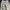 Valentino butterfly patch jogger pants photo 7
