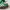 Adidas Handball Spezial Green photo 2