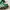 Adidas Handball Spezial Green