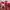 Redchili  photo 3