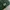 New Era Fitted Caps MLB (ON FIELD) 59Fifty Oakland Athletics photo 4