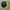 New Era Fitted Caps MLB (ON FIELD) 59Fifty Oakland Athletics photo 6