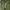 Sepatu Pria Adidas Yeezy Boost 350 V2 Yeezreel ori photo 5