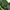 Sepatu Pria Adidas Yeezy Boost 350 V2 Yeezreel ori photo 2