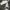 Dr. Martens Casual Casual shoe Pria white photo 1
