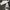 Dr. Martens Casual Casual Shoe Pria White