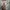 H&M X BILLIE AILISH OVERSIZED HOODED TOP photo 6