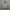 H&M X BILLIE AILISH OVERSIZED HOODED TOP photo 2