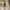 Dr. Martens Casual Sneakers Pria khaki photo 8