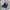 LEVIS VTG PANTS DENIM  BLUE JEANS photo 1