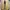 Dr. Martens Casual Casual shoe Pria brown photo 8